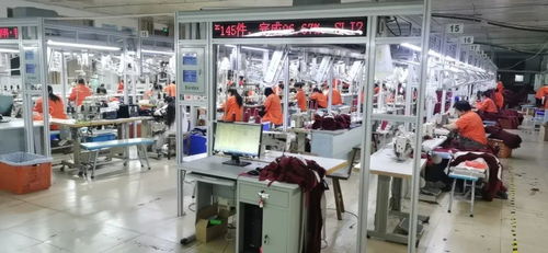 客服火線入職備戰天貓雙11，流水線24小時趕工，不夜廠點亮江蘇咨詢策劃服務